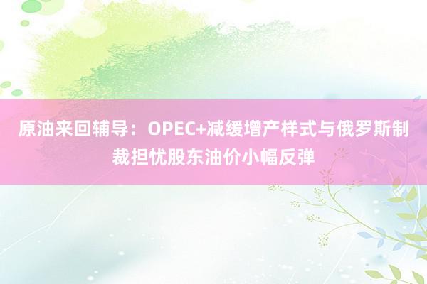 原油来回辅导：OPEC+减缓增产样式与俄罗斯制裁担忧股东油价小幅反弹