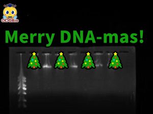 技術分享丨 實驗室里的圣誕樹：DNA電泳條帶的秘密