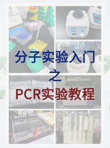 分子小白入門必學，完整的PCR實驗教程