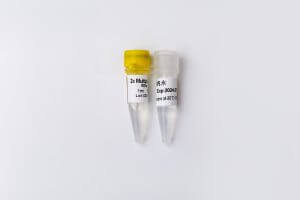 5X GDSlyo Multiplex Probe qPCR Mix Plus U