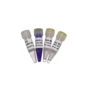 PCR開源教學試劑盒 P8031 P8032