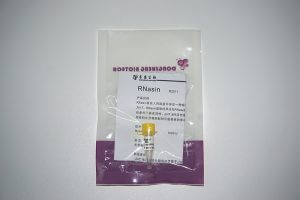 RNasin（RNase 抑制劑）（R2011）