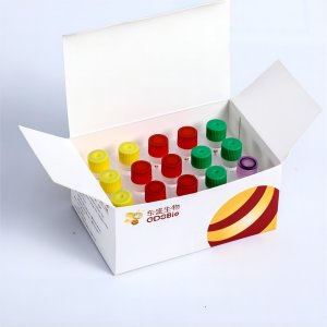 GDSZyme Rapid DNA Library Prep Kit for Illumina K017-A K017-B