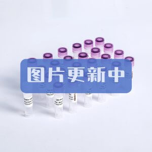 核酸去除劑 P9121 P9122